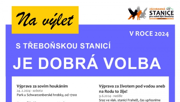 AKCE V ROCE 2024