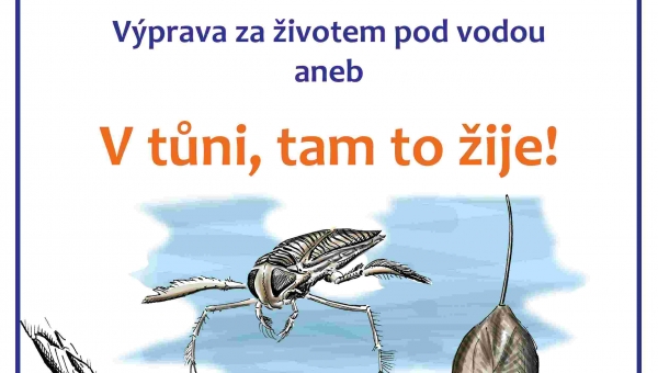 V TŮNI, TAM TO ŽIJE!
