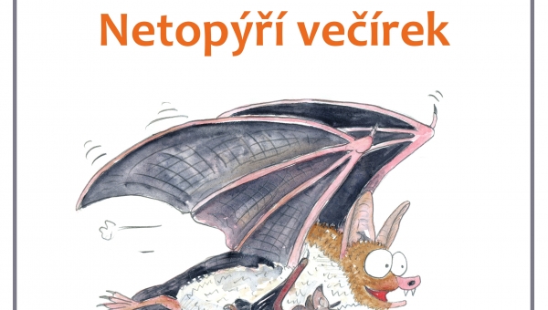 NETOPÝŘÍ VEČÍREK