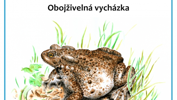 OBOJŽIVELNÁ VYCHÁZKA