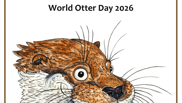 WORLD OTTER DAY