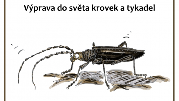 VÝPRAVA DO SVĚTA KROVEK A TYKADEL