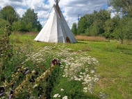 TEE PEE